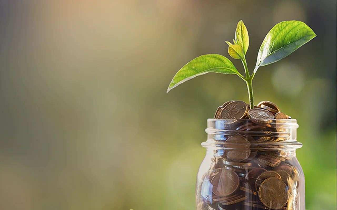 Domino Services - Finance - Social Image